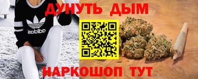 гидра Ижевск